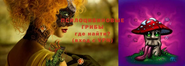 стафф Беломорск