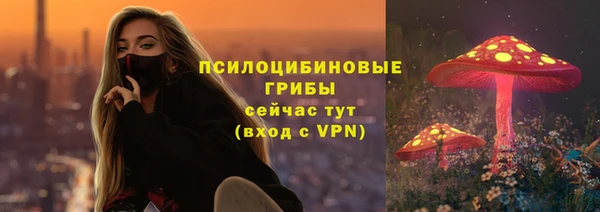крисы Баксан