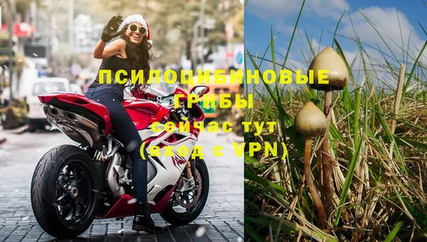 стафф Беломорск