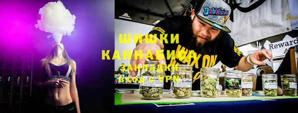 PSILOCYBIN Балахна